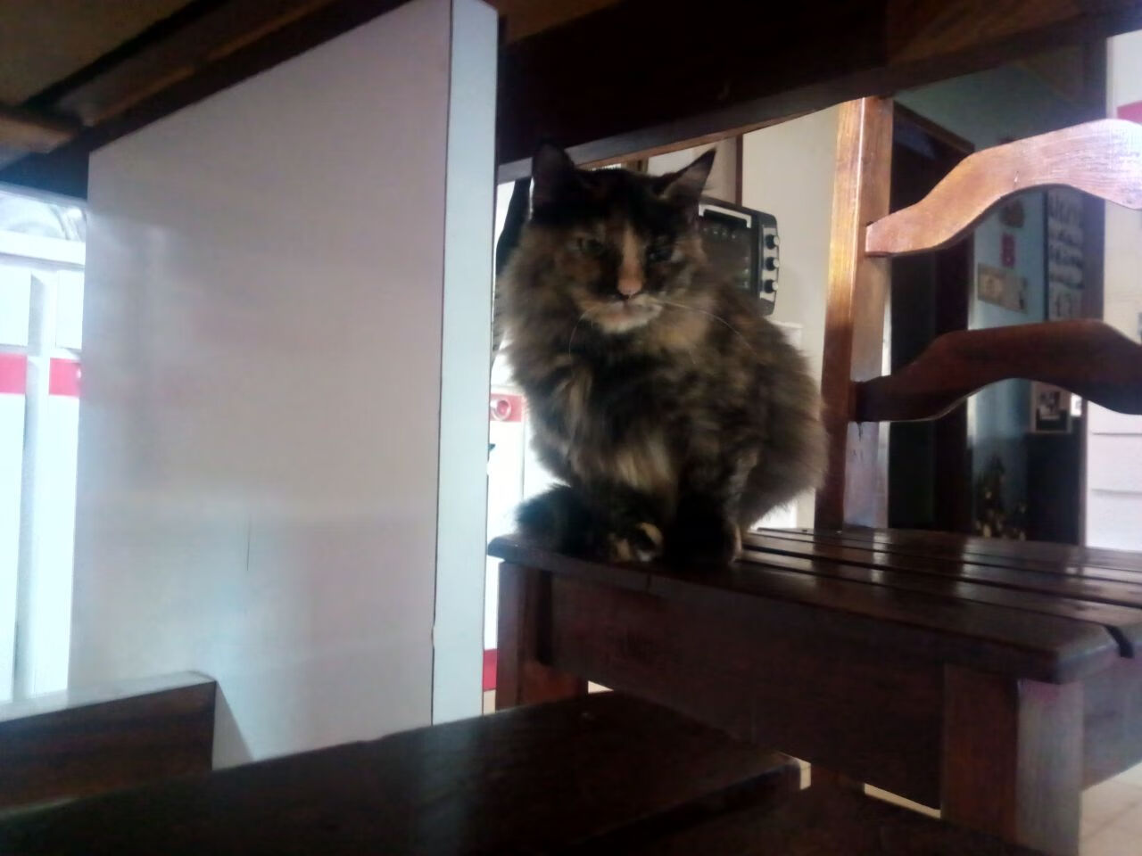 狮王东游,西亚卡姆统治明尼苏达之夜,黄蜂稳扎稳打撕裂森林狼防线