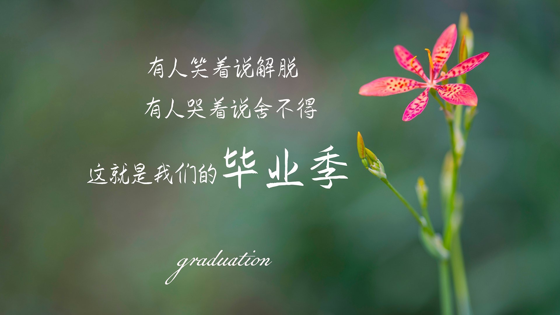 凯塞多爆发!佛罗伦萨3-0踏平哥伦比亚巨人