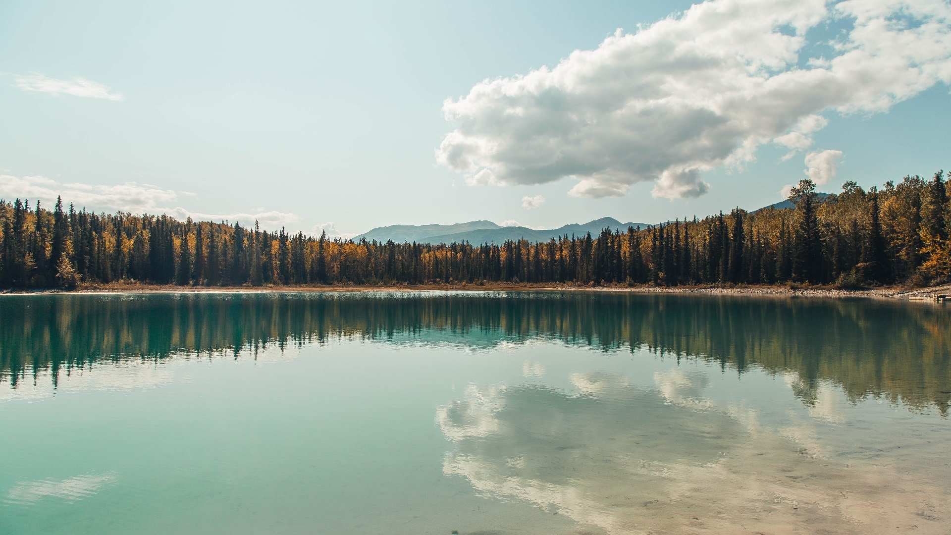 独舞时刻,当克罗地亚的利刃刺破黄昏,布鲁诺在街道的迷宫中封王