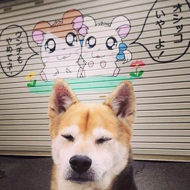 伯纳乌的陌生来客,当卡马文加的爆发,决定了一场本不该存在的决胜局