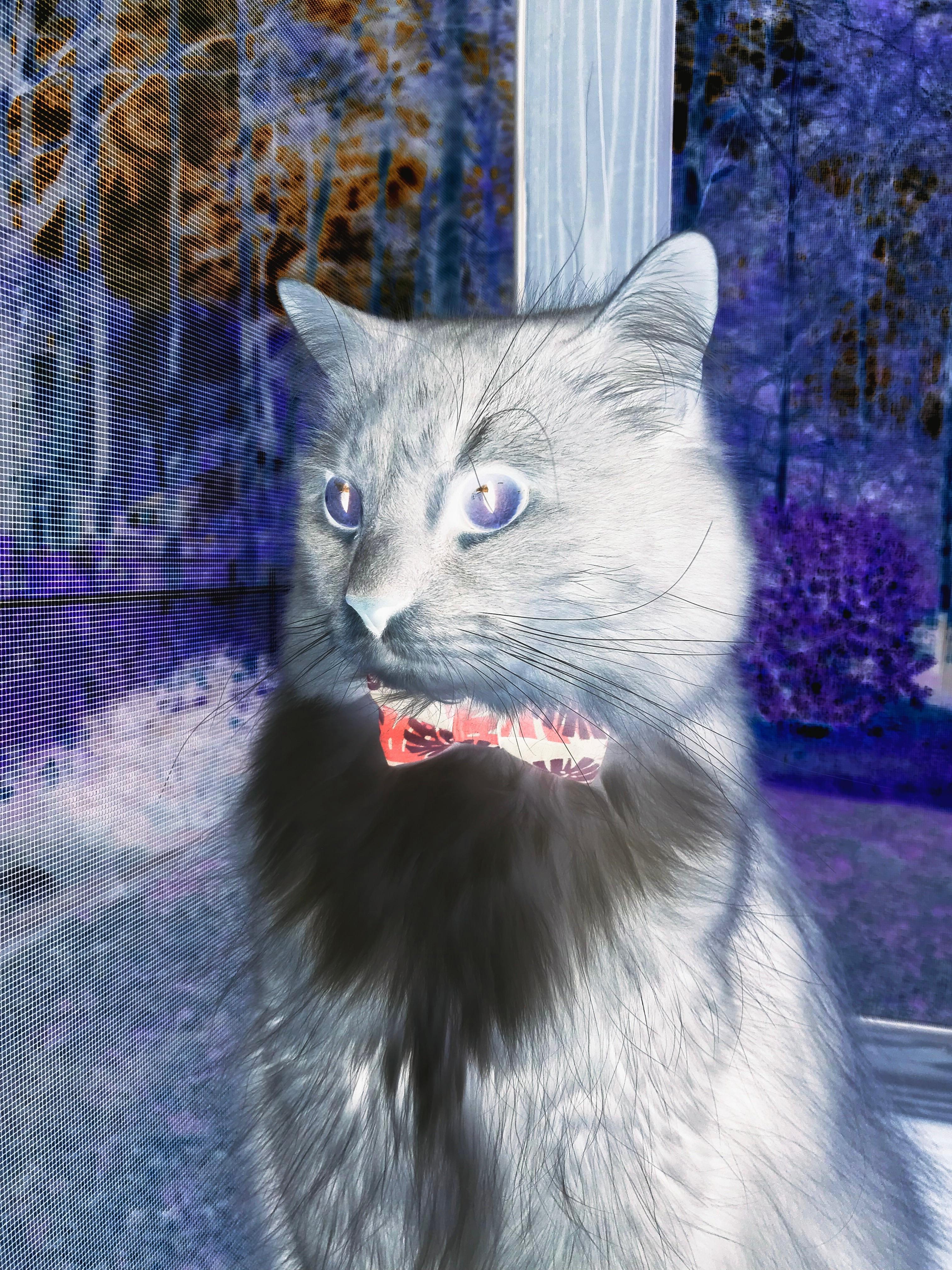 大场面先生与闪电战，两种唯一性塑造的季后赛图景