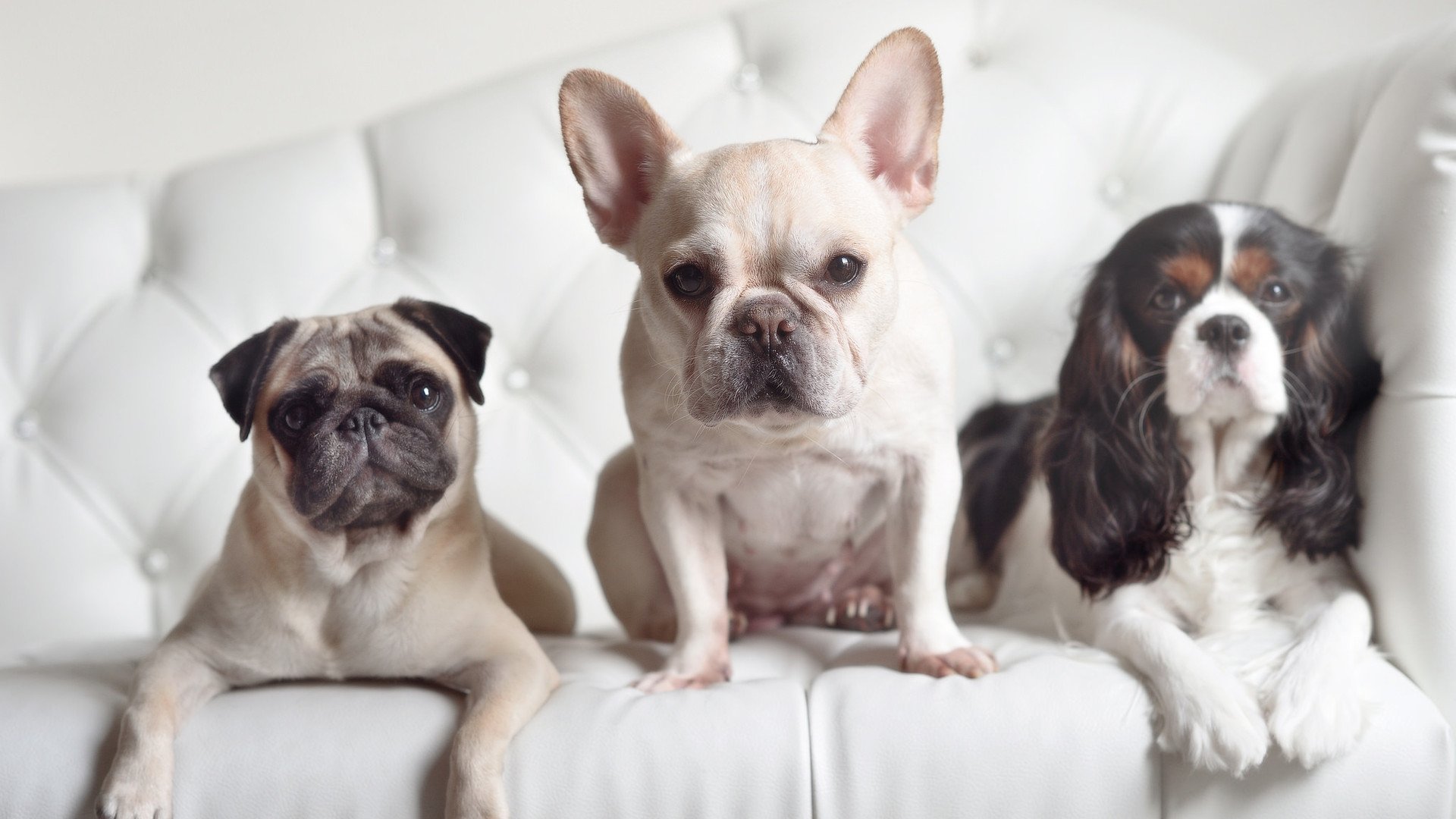 逆风之钥,基米希一射定乾坤,拜仁鏖战攻克克罗地亚铁壁