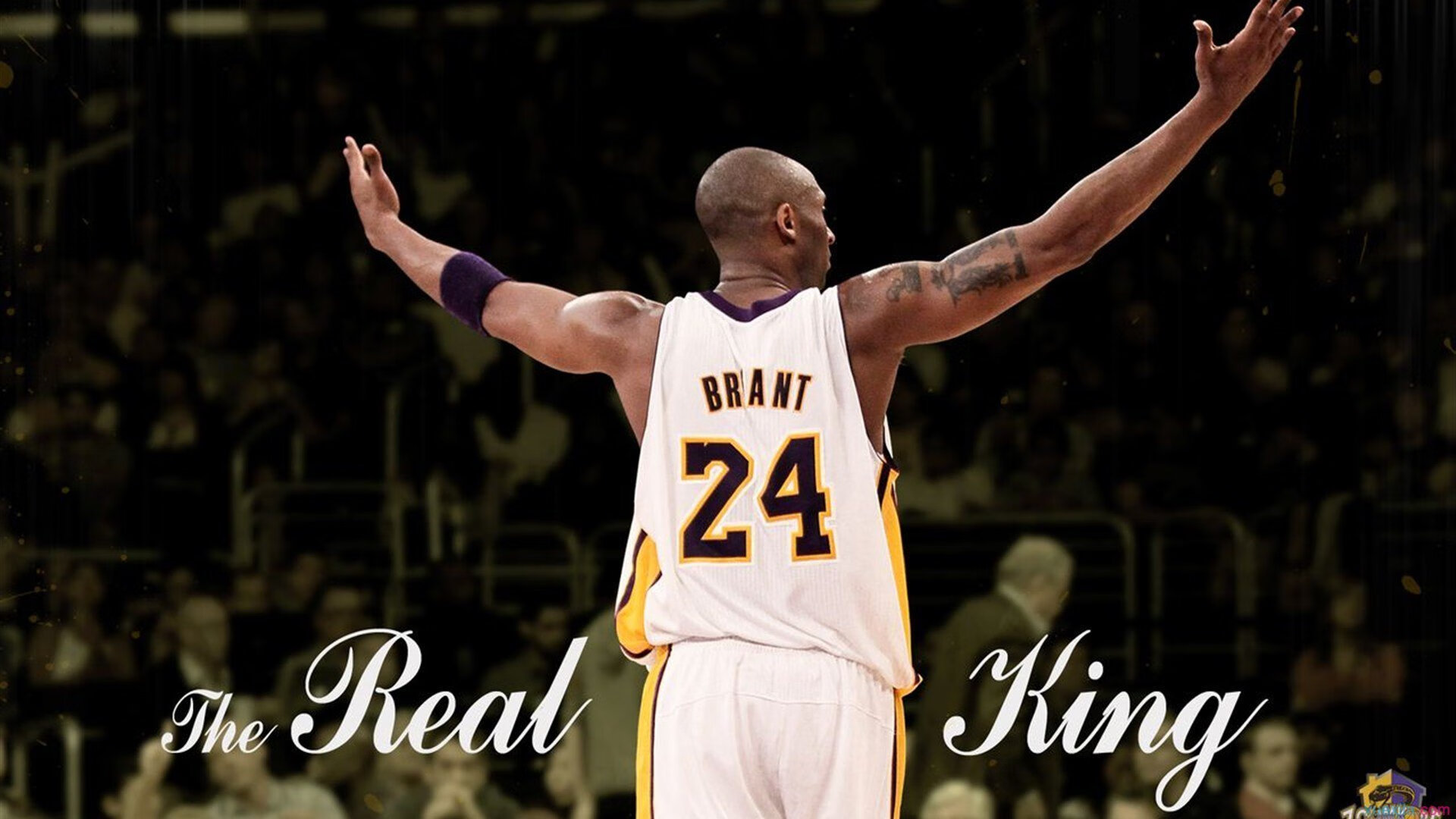 镜像对决,当湖人巅峰想象遇上鹈鹕新星时,范弗利特在另一片球场完成了真正的加冕