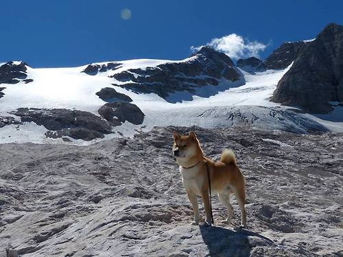 引擎咆哮中的红色压制，当莱比锡铁蹄踏过苏格兰，奥纳纳在巴林赛道完成统治