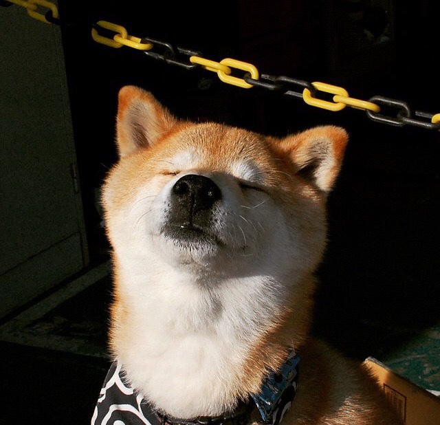 开云sport-欧冠半决赛之夜，当寂静成为主宰，乔治的五重化身撕碎黑暗