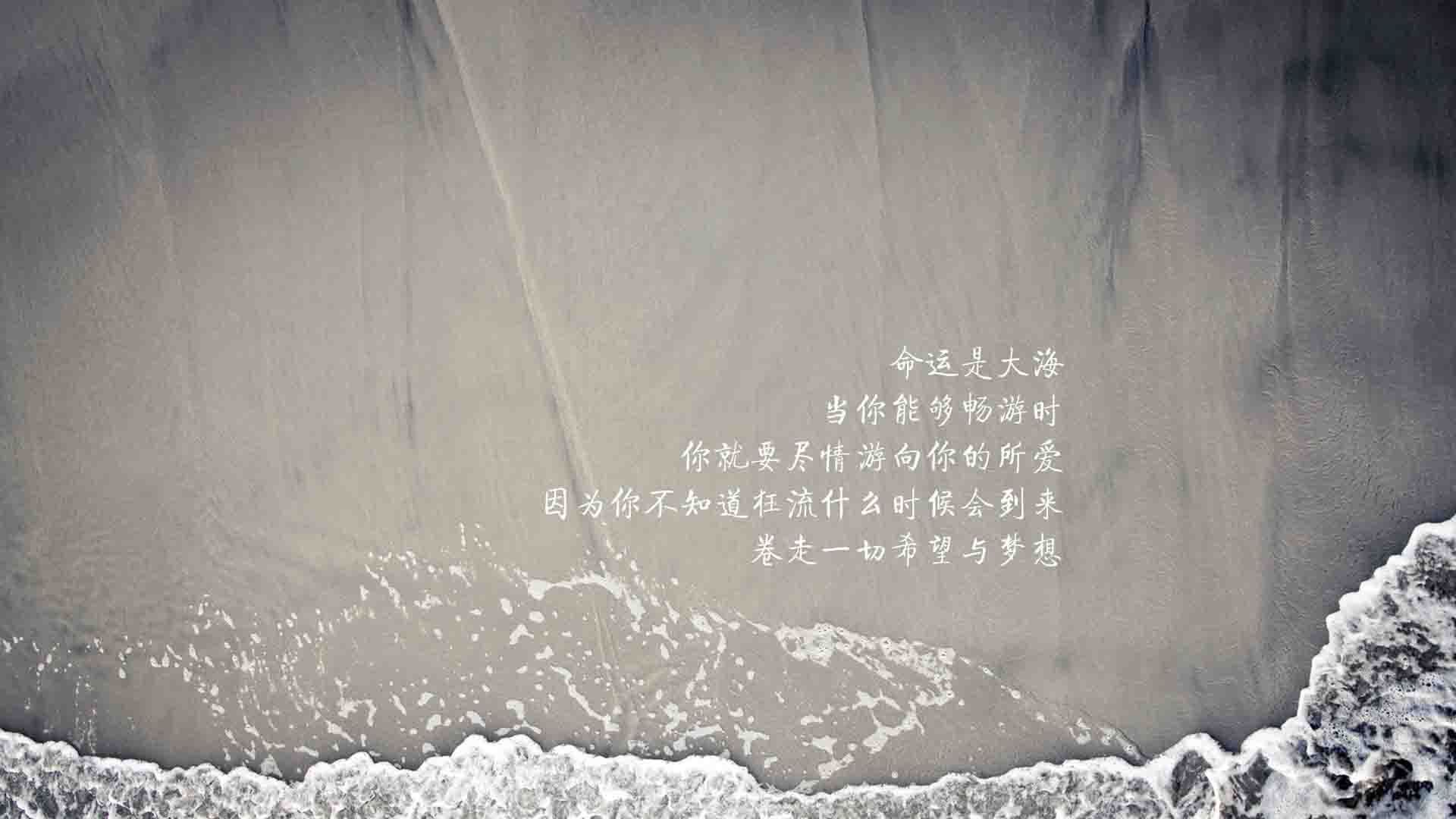 钢铁洪流与艺术利刃,2026世界杯G组,奥地利如何用唯一性的强硬,成就一场载入史册的扫雪之战