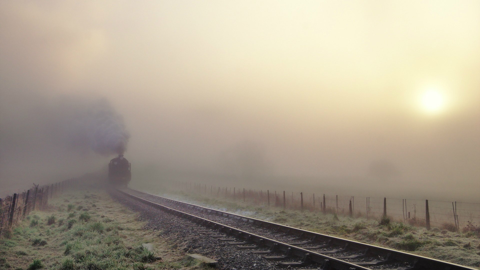 （扩展思维后的选择）